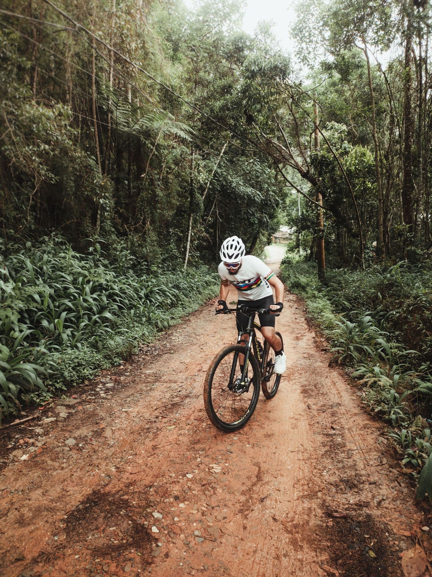A gravel rider on a dirt track through a lush forest