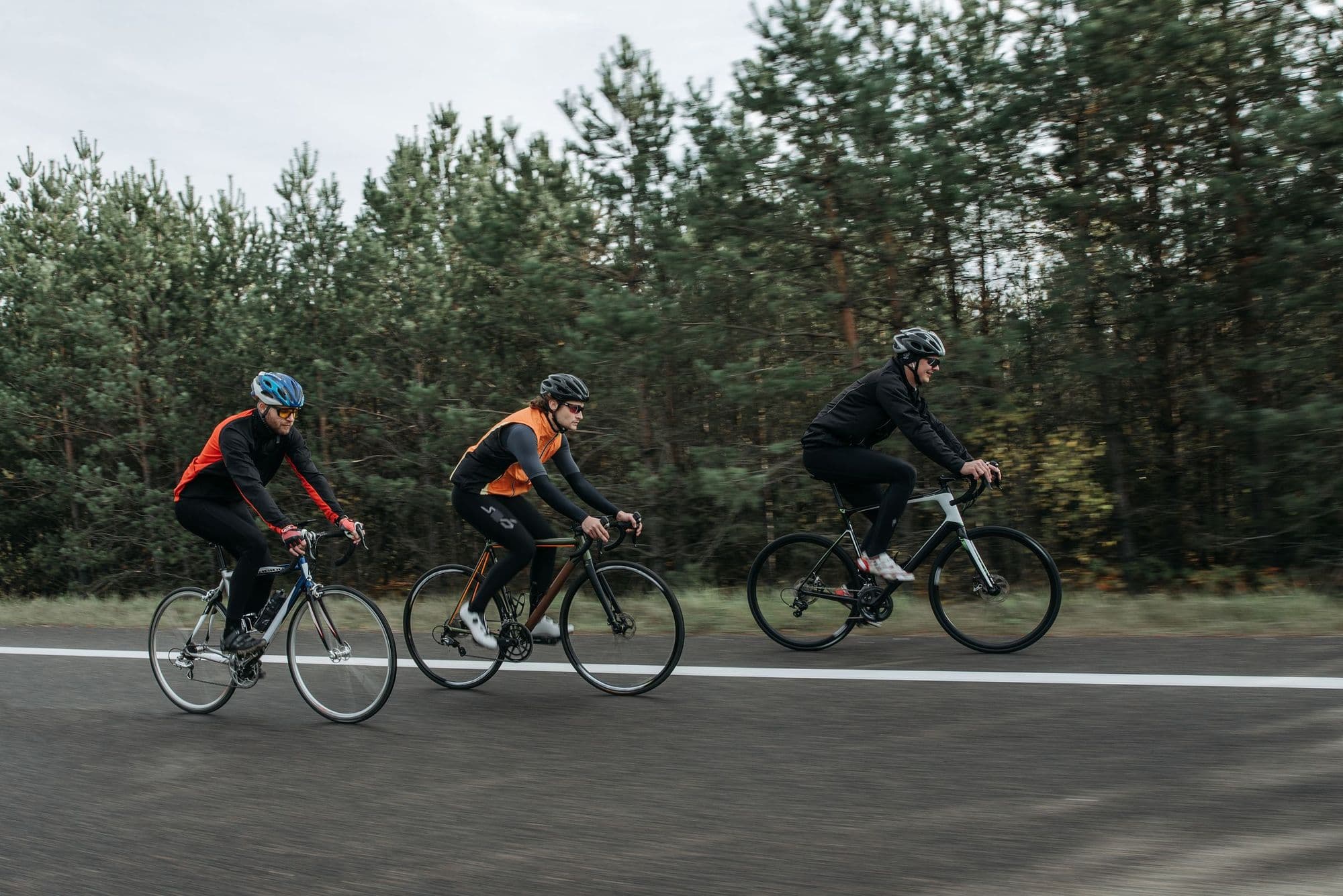 Three cyclists riding together on a road through a pine forest
